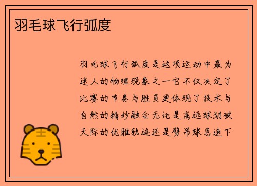 羽毛球飞行弧度