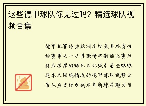 这些德甲球队你见过吗？精选球队视频合集